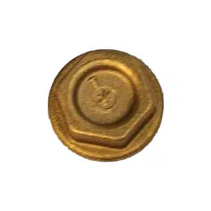 VALVE PLUG/CAP (5843,8043,9536,1036) - 8.752-855.0